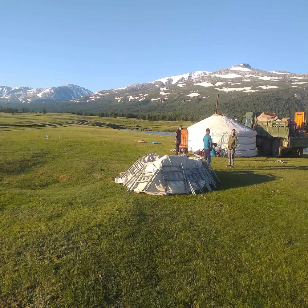 /static/images/herder/1783310415460044800.webp