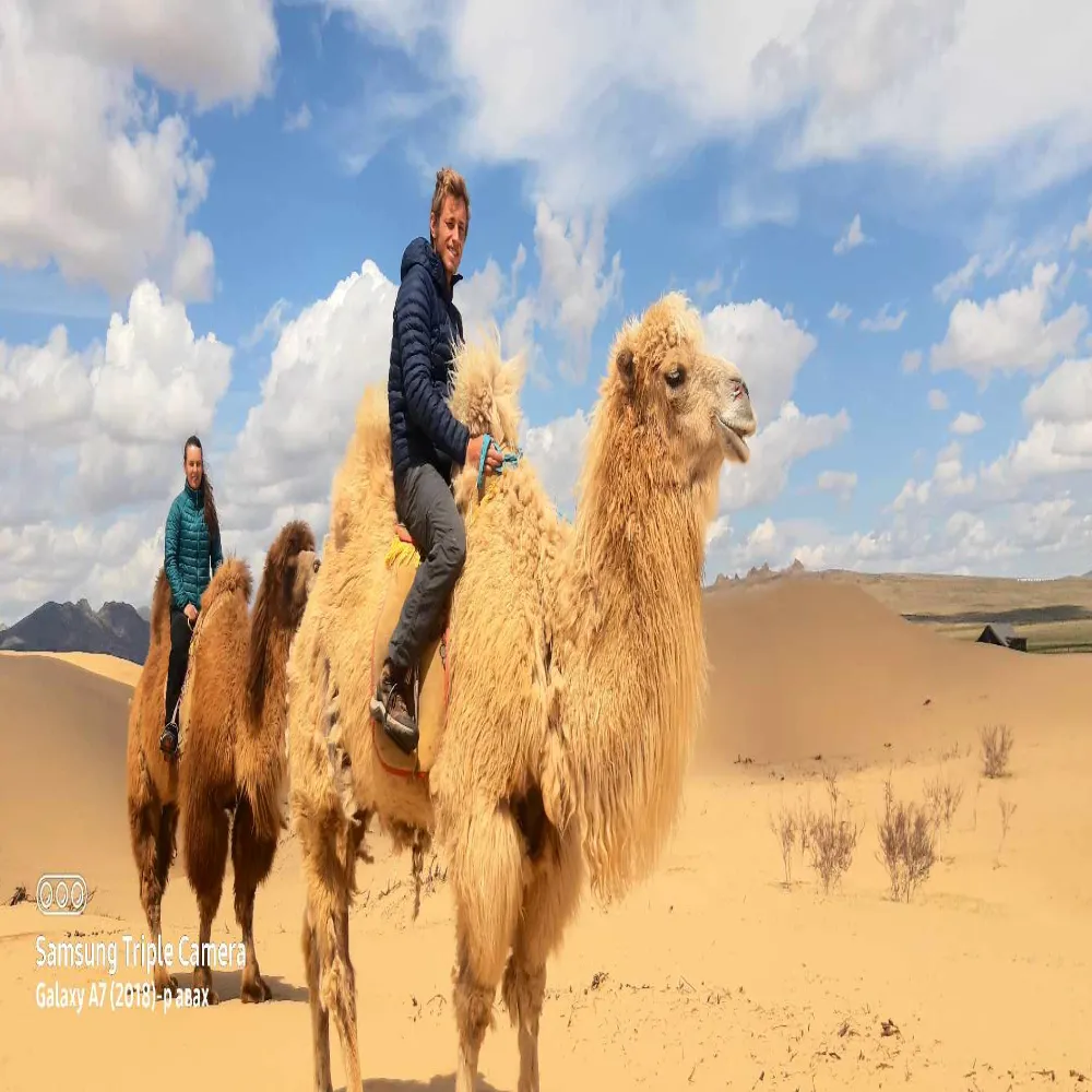 /static/images/herder/1788830532683960320.webp