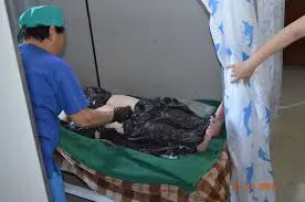 /static/images/herder/1857673536412323840.webp