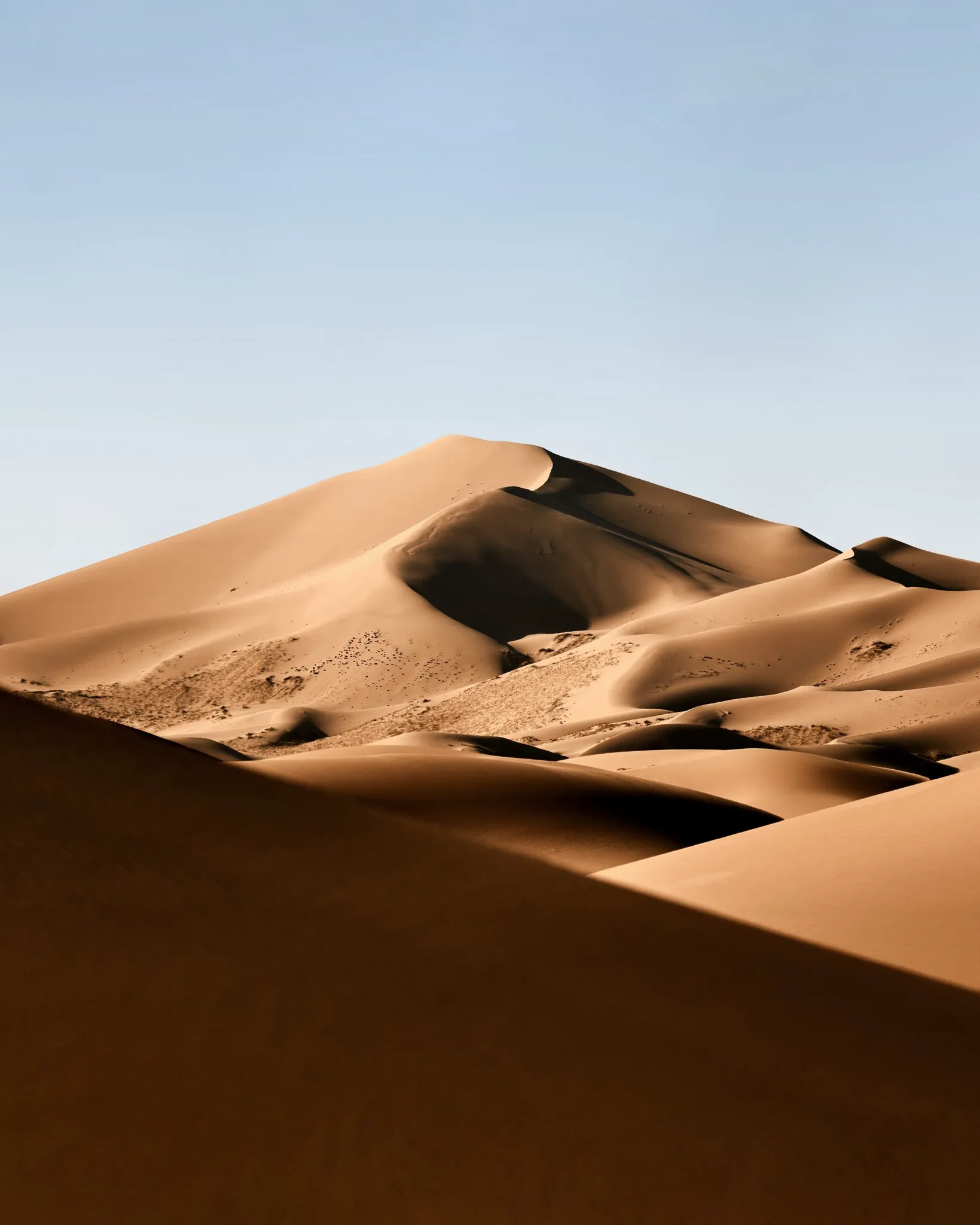 /static/images/herder/1859810240401248256.webp