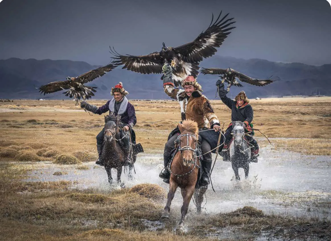 /static/images/herder/1917390459622133760.webp