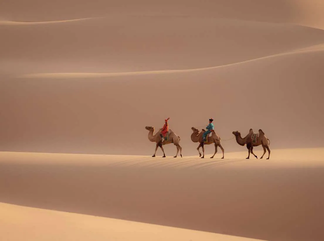 /static/images/herder/1917390499128283136.webp