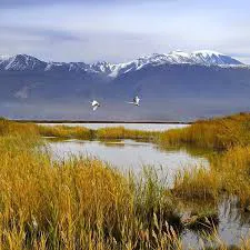 /static/images/herder/1947183663544274944.webp