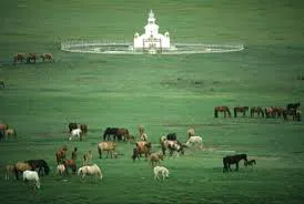 /static/images/herder/1947187723928342528.webp