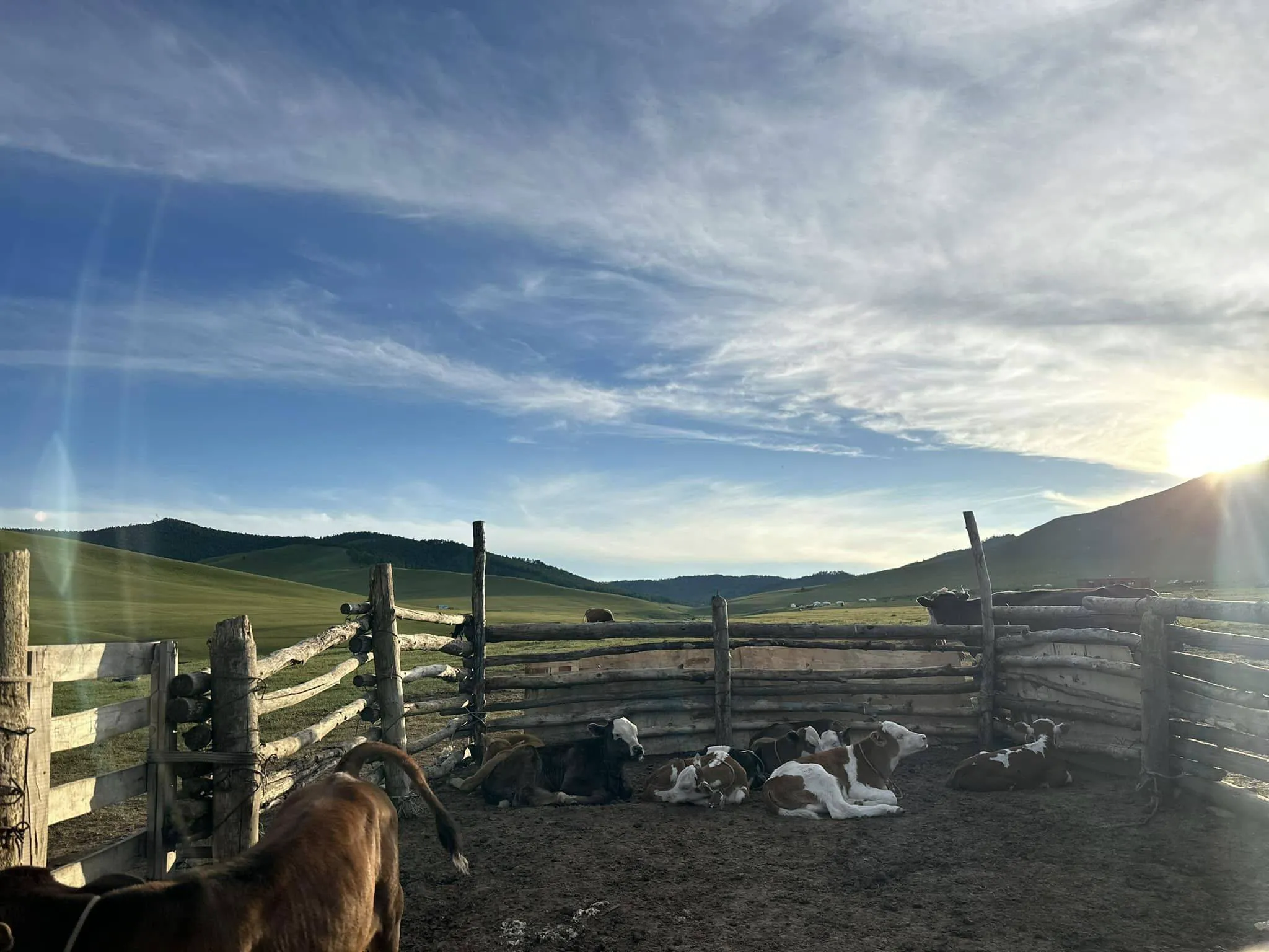 /static/images/herder/1960705492632211456.webp