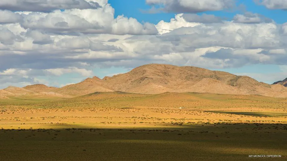 /static/images/herder/1962152050322051072.webp