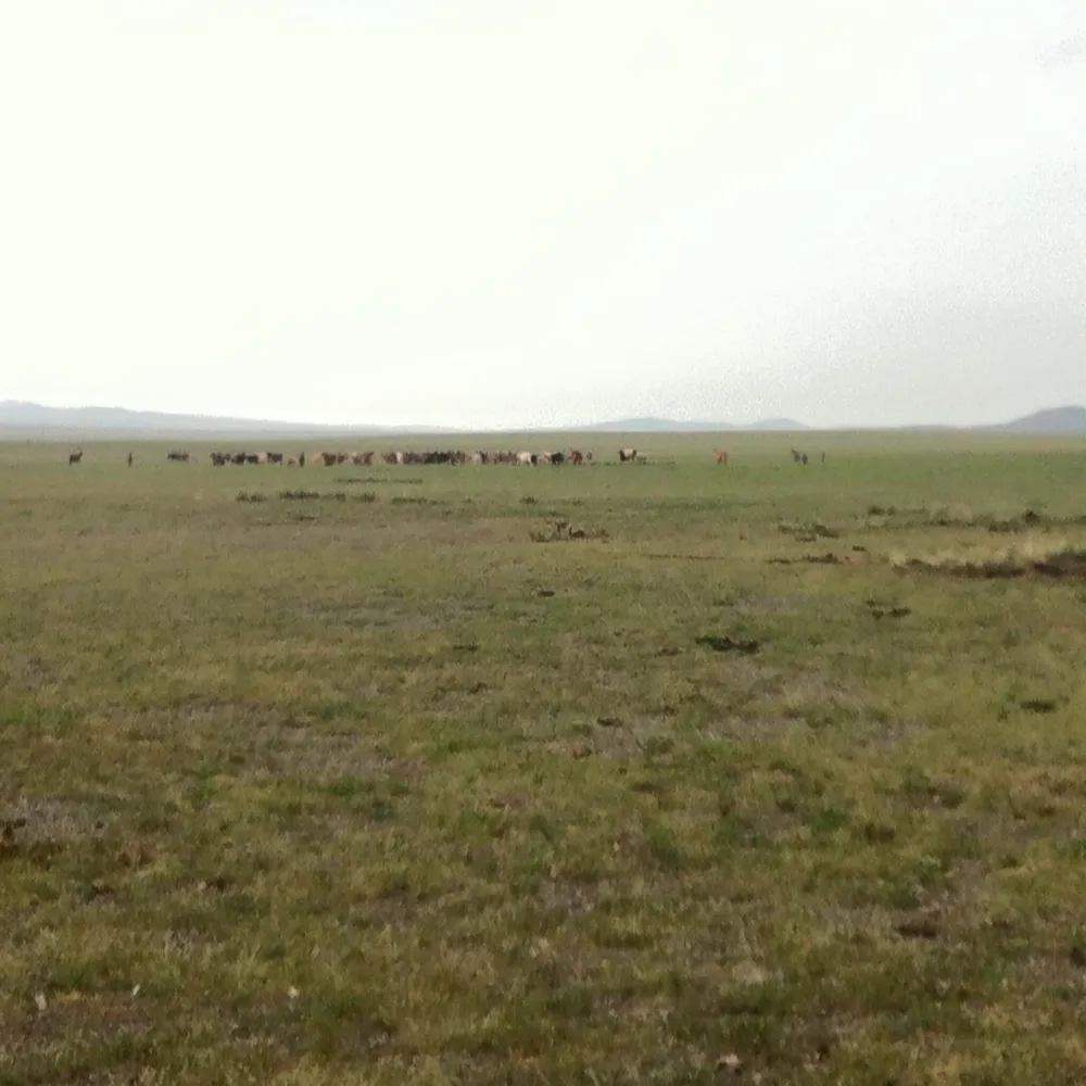 /static/images/herder/1963583905231540224.webp