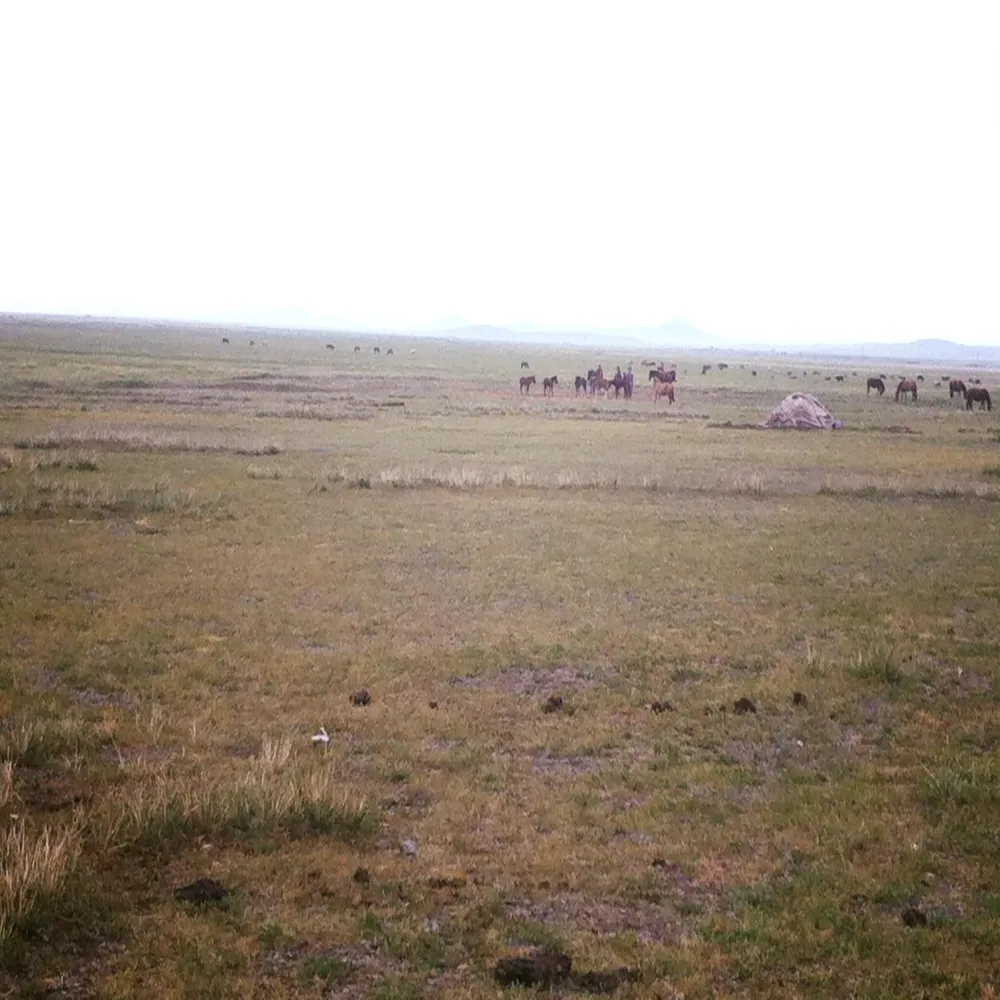 /static/images/herder/1963583923850055680.webp