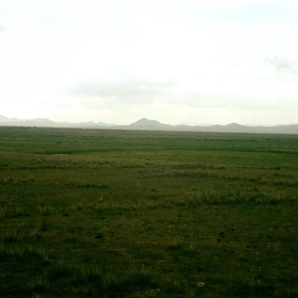 /static/images/herder/1963583939108933632.webp