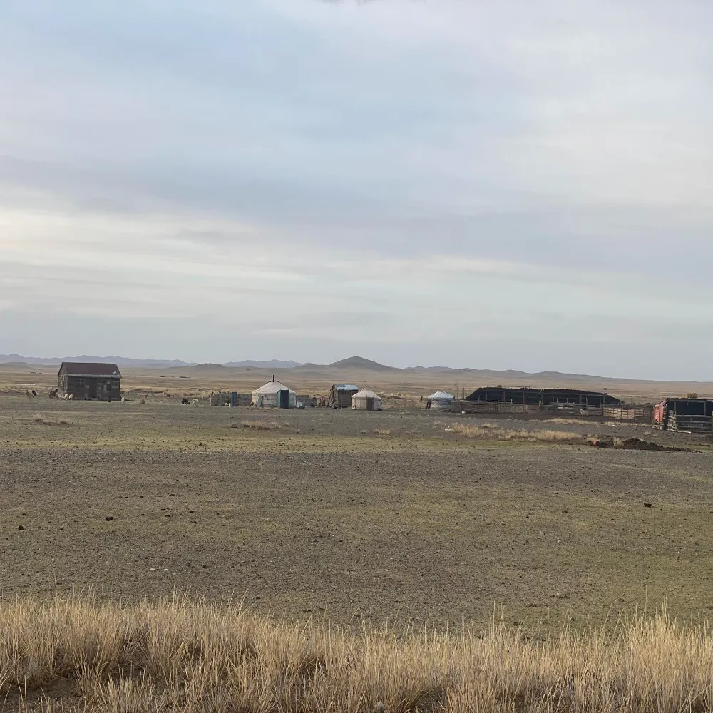 /static/images/herder/1963583952597815296.webp